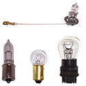 Bulbs
